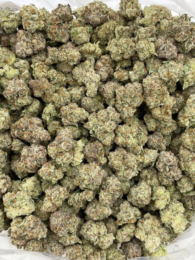 Candy SFV indoors 🍭⛽️