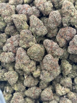 Lemon cherry gelato Lcg21
