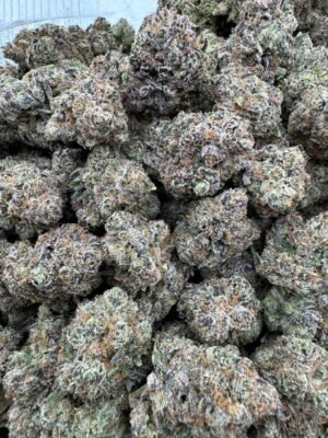 Magic City Runtz Licensed exotic candy