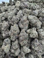 Lemon Cherry GelatoLicensed exotic