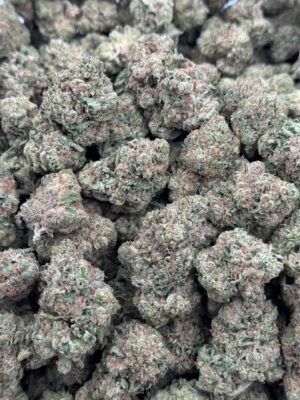 Sunset x Cake licensed mixed light